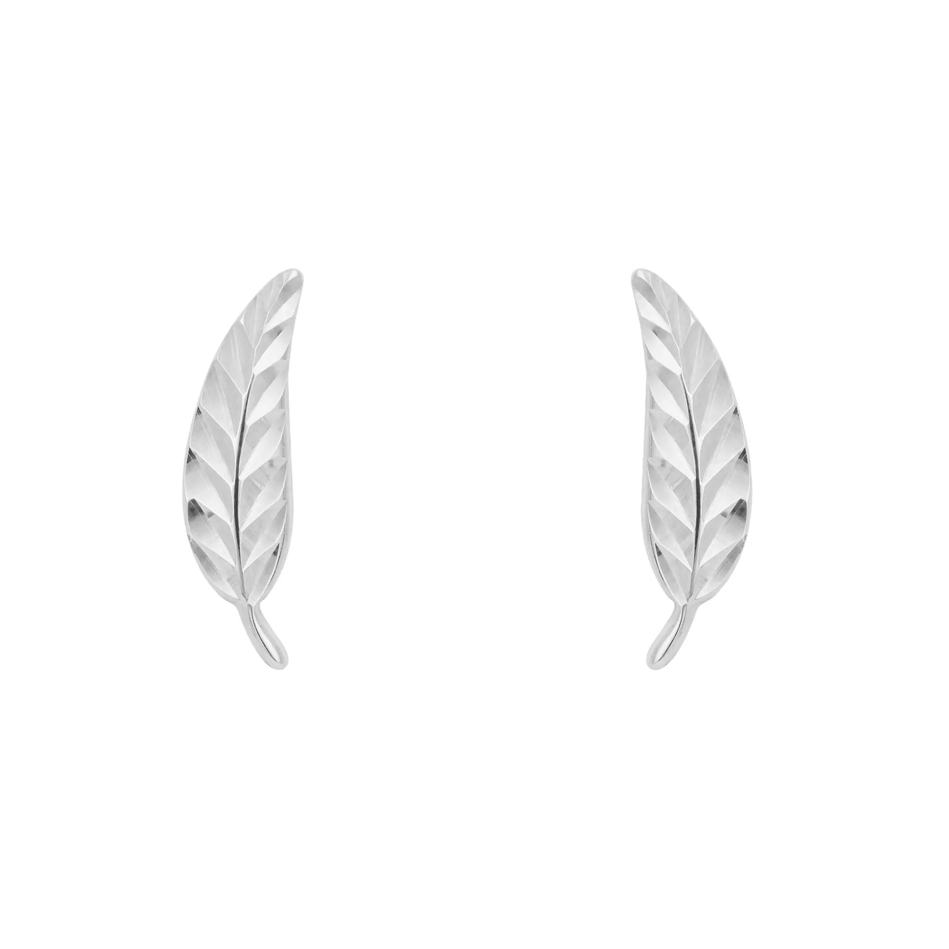 9ct White Gold Feather Stud Earrings GE2432