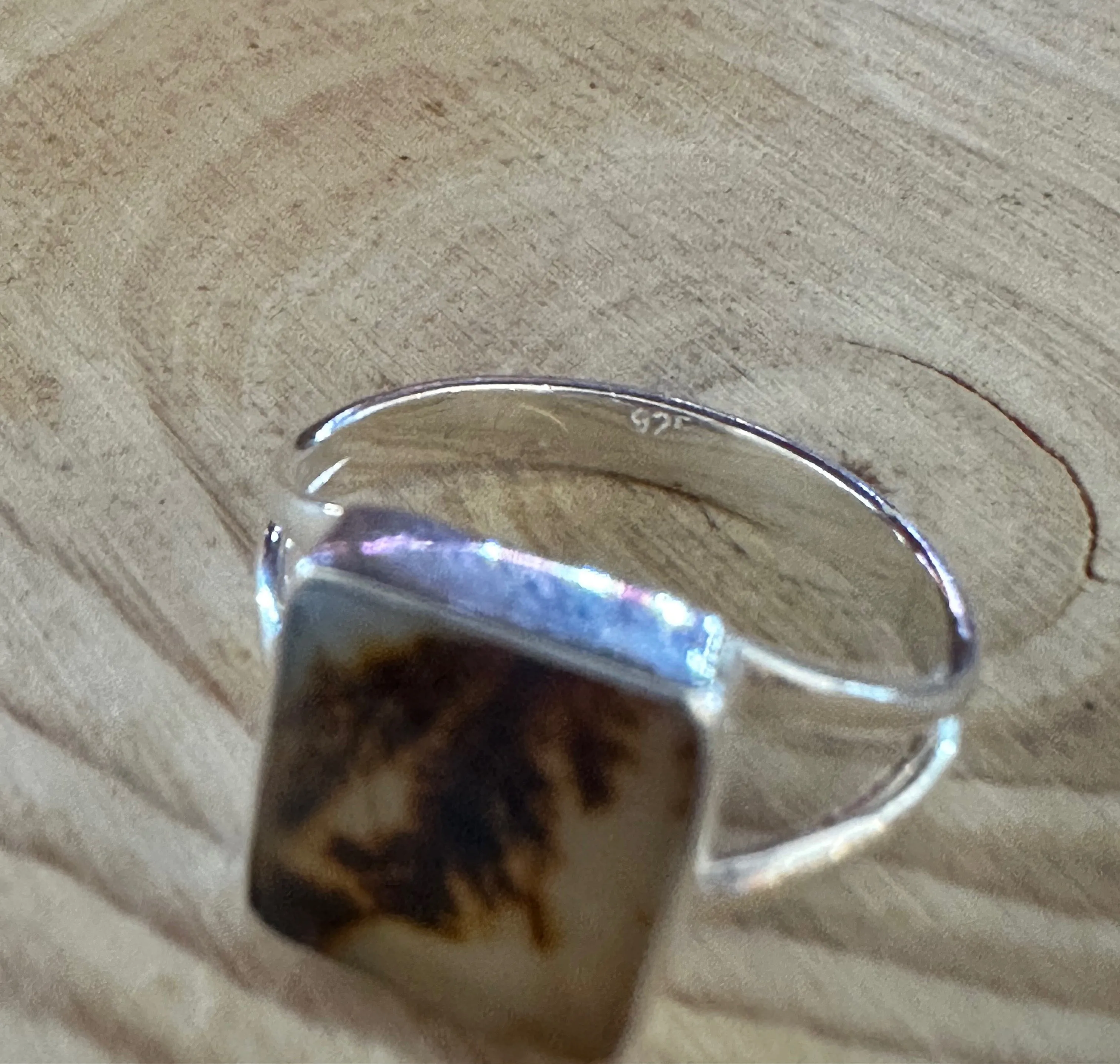 DENDRITIC AGATE and Silver Ring • Size 7