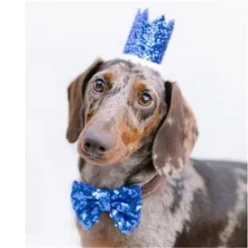 Dog Birthday Crown & Bow Tie Collar - Blue, Custom Age